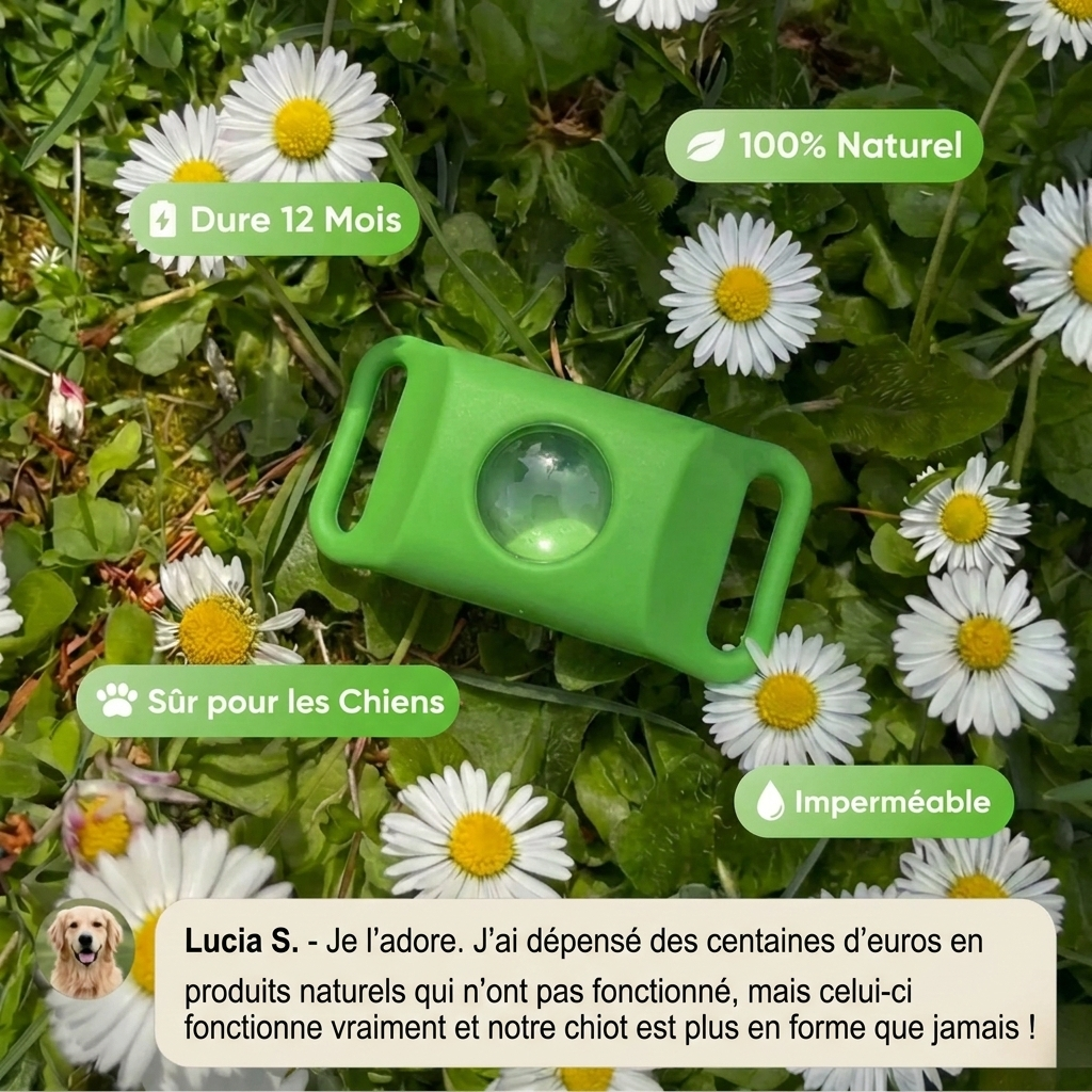 Lemuvia™ Pendentif – 12 mois de protection naturelle pour chiens