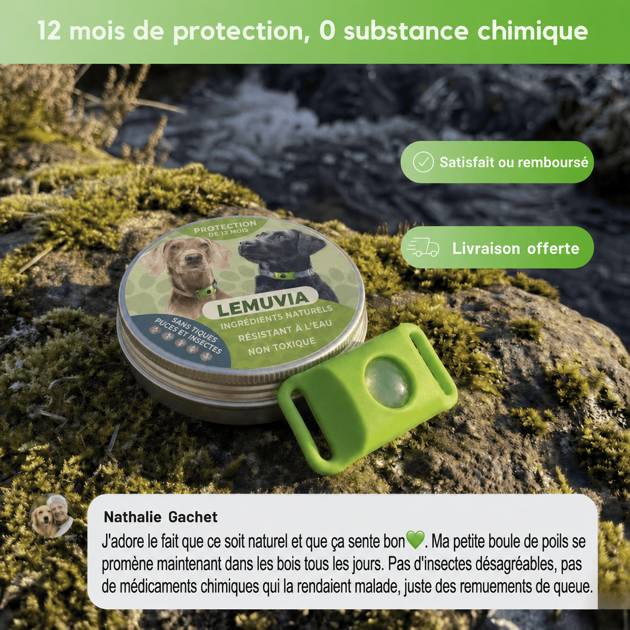 Lemuvia™ Pendentif – 12 mois de protection naturelle pour chiens